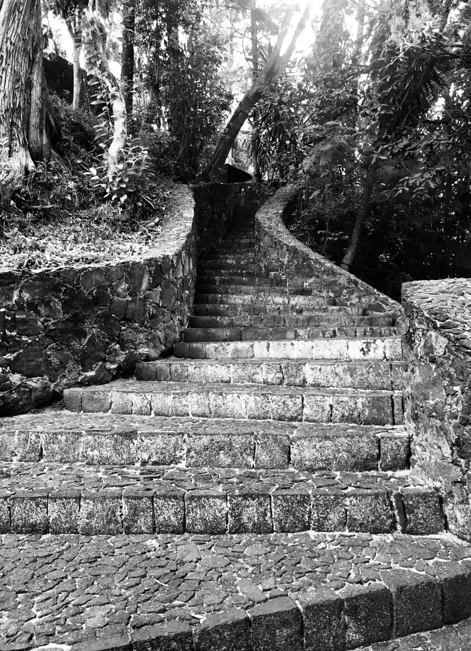 Stone Stairway Through the Forest