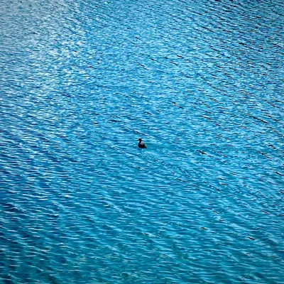 Alone on the Water