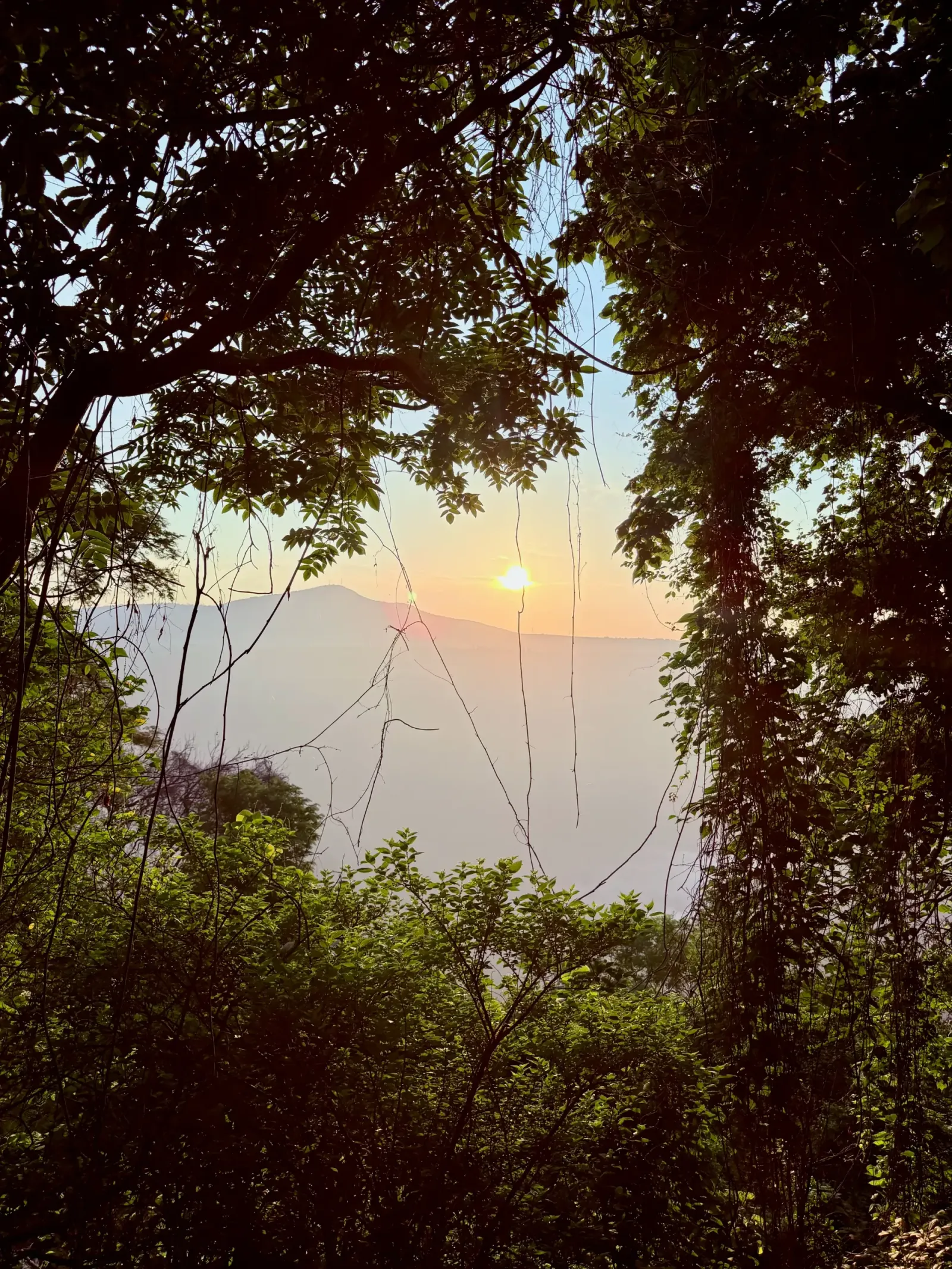 Valley at Sunset, Guadalajara