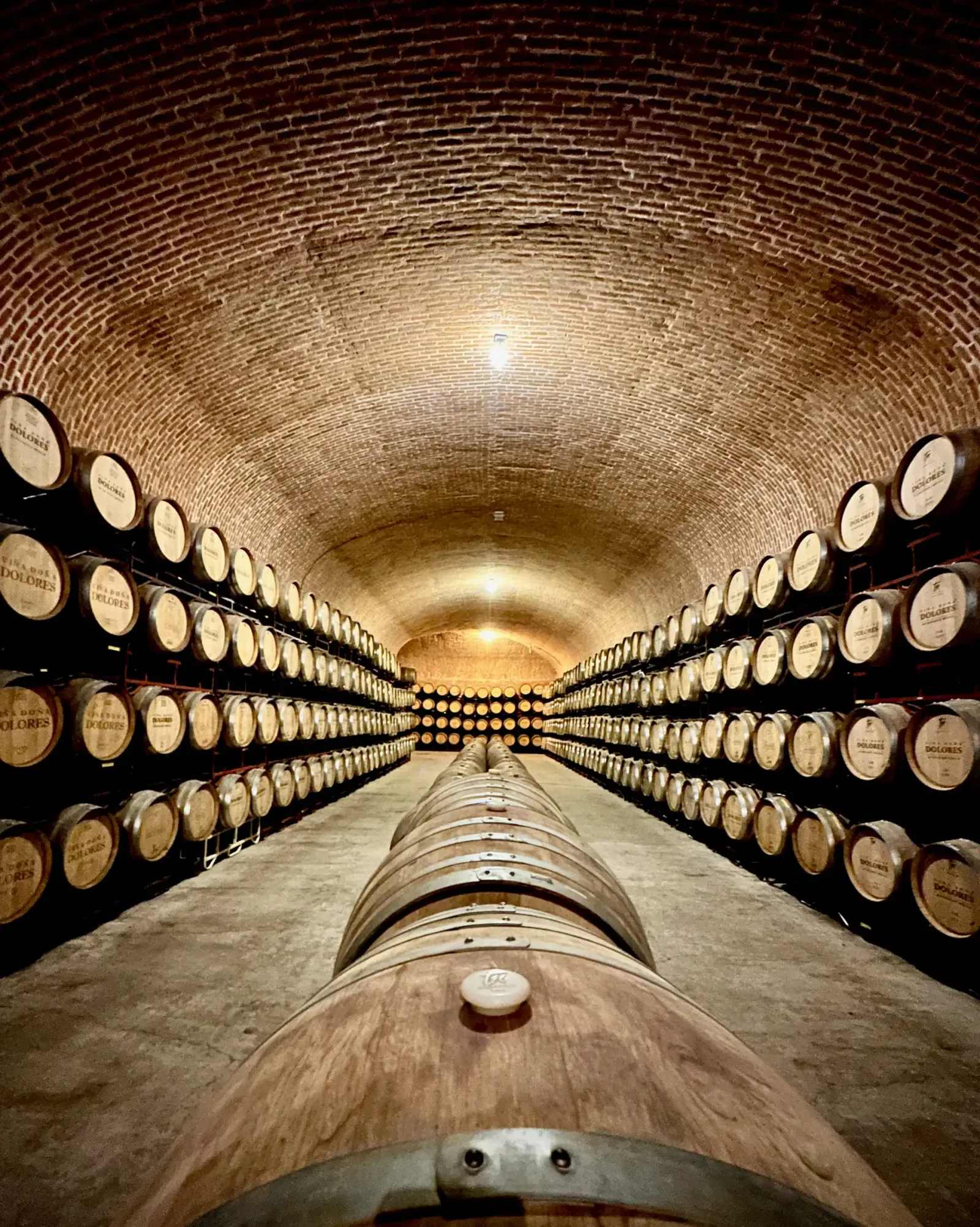Wine Cellar, Querétaro