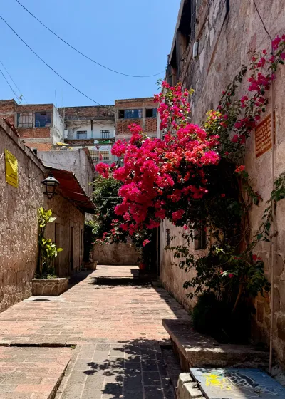 Bougainvillea Alley, Morelia