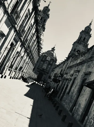 Morelia Cathedral Towers