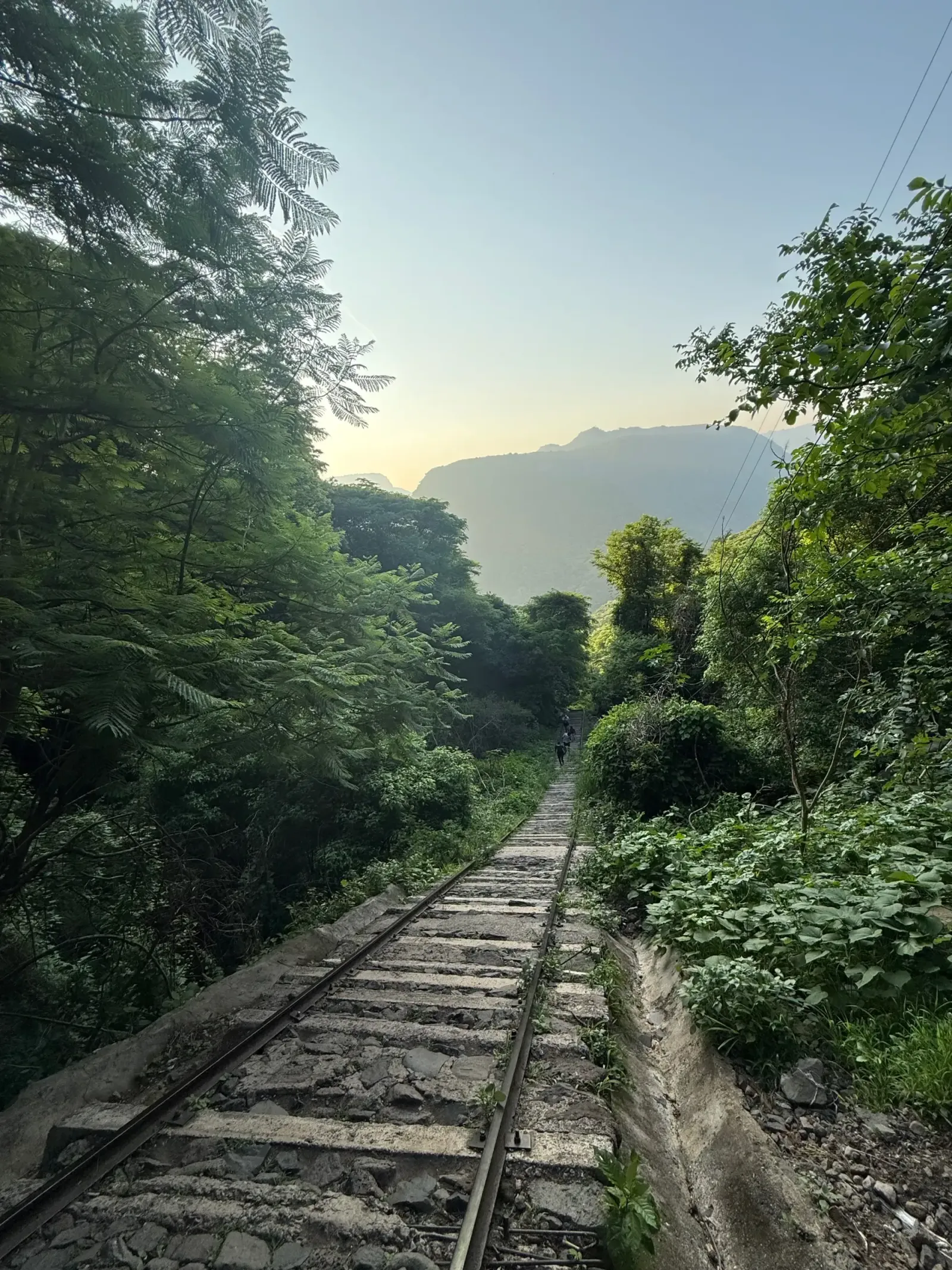 Old Railway Through the Canyon