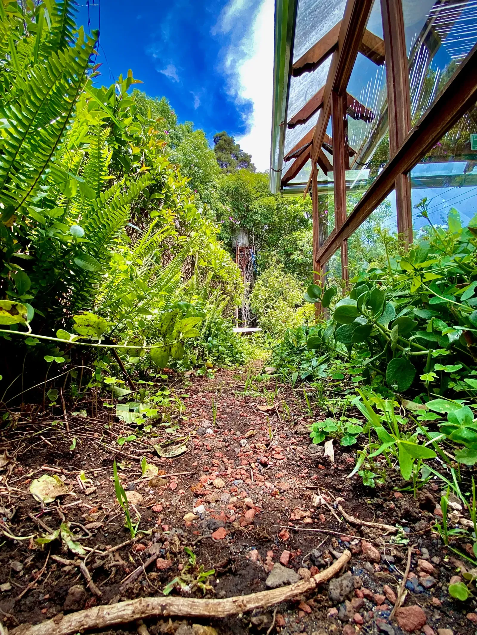 Garden Path